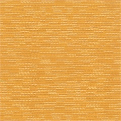 Bainbridge Sunflower